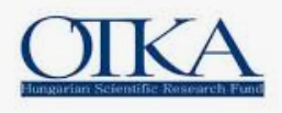 Megújul az OTKA rendszere: 19 milliárd forintos kerettel indul el a Nemzeti Kutatási Kiválósági Program